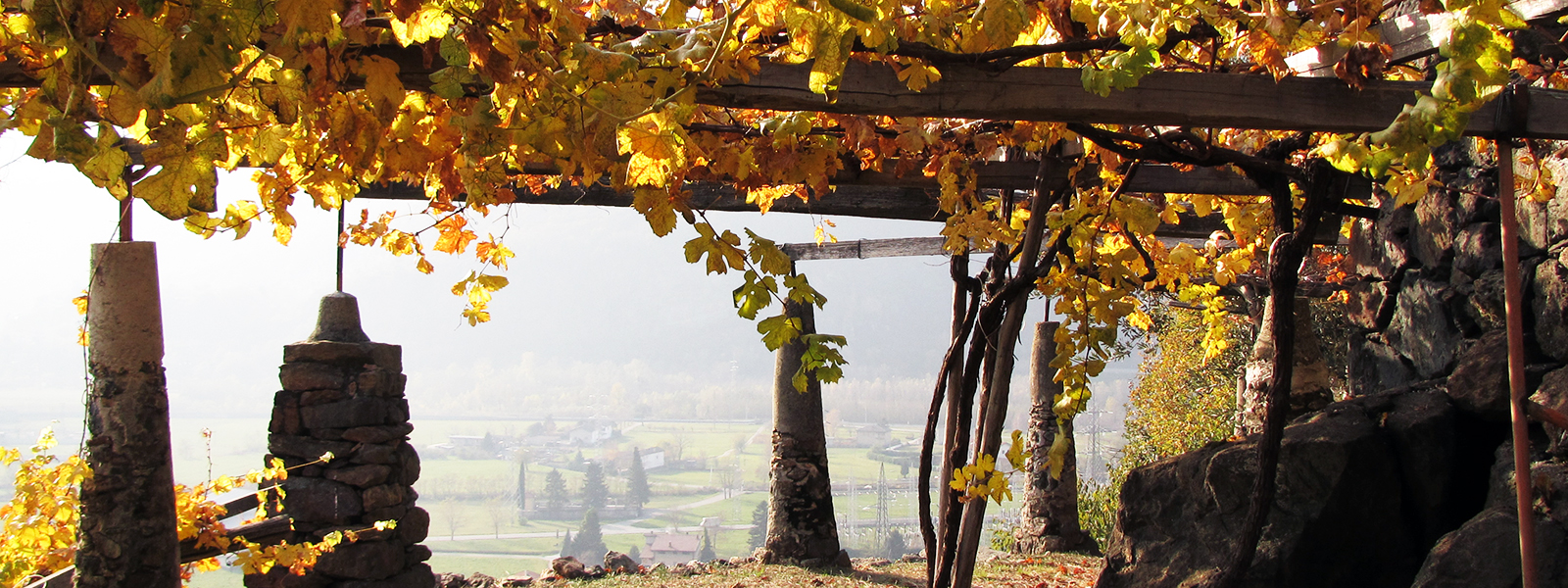 Azienda Agricola Giovanetto